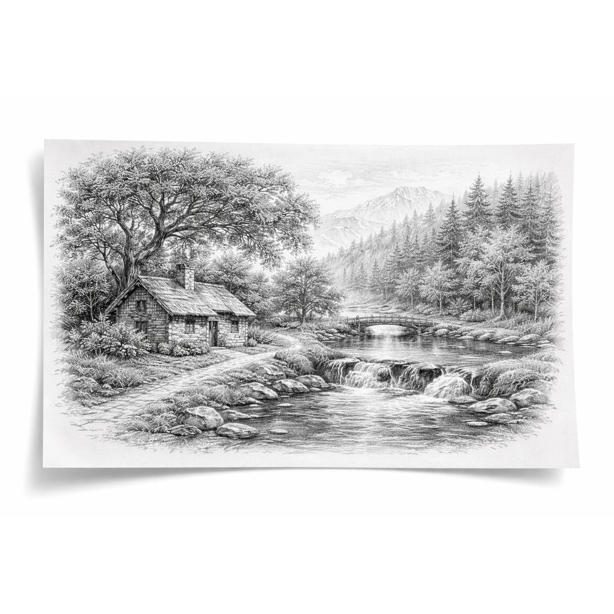 Premium Cartridge Paper for Drawing